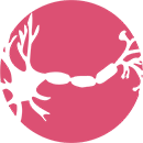 Logo Odysei neuronów kursu efektywnej nauki